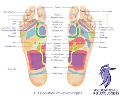 Photo TeignReflexology