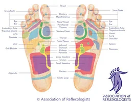 TeignReflexology