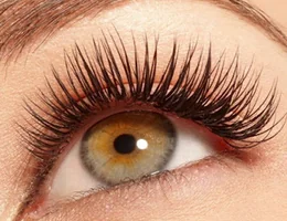 Mad Lashes Beauty Salon