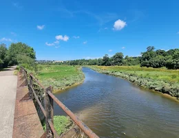 Camel Trail Cycle Hire