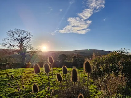 Photo Exmoor Massage