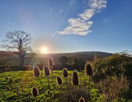 Exmoor Massage