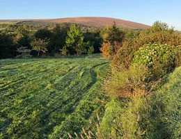 Exmoor Massage