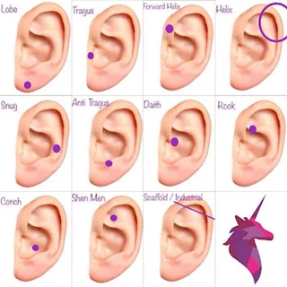 Photo Purple Unicorn Piercing