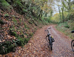 Camel Trail Cycle Hire