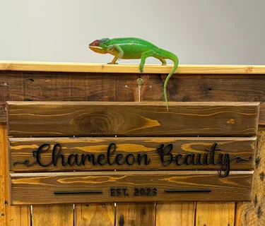 Photo Chameleon Beauty