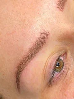 Photo Ash Dormer Brows