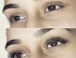 Silk Lash Extensions