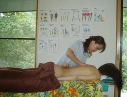 Lev Seller Holistic Massage