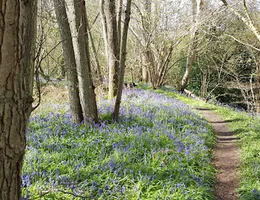 Louisa - Massage Healing Sussex