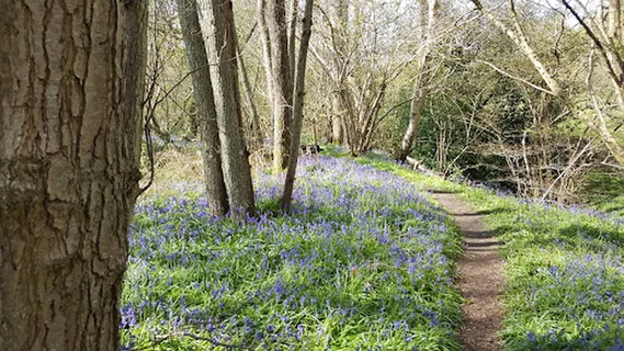 Photo Louisa - Massage Healing Sussex