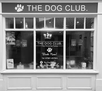 Photo THE DOG CLUB.