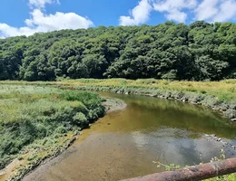 Camel Trail Cycle Hire