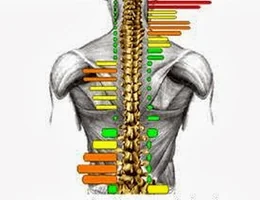 Parsons Chiropractic