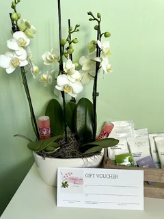 Photo Facials Massage Spa Blooming Orchid Room