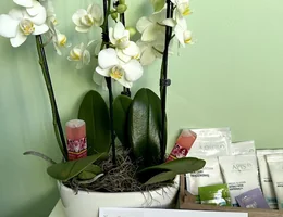 Facials Massage Spa Blooming Orchid Room