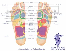 EmilyReflexology