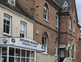 Orchard Meadow Therapies& Aesthetics